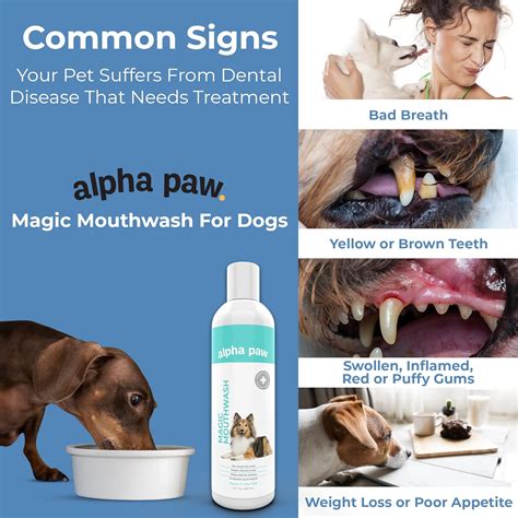 Protecting Your Pet's Teeth with Alpha paw magic moutwhash: A Guide for Pet Owners